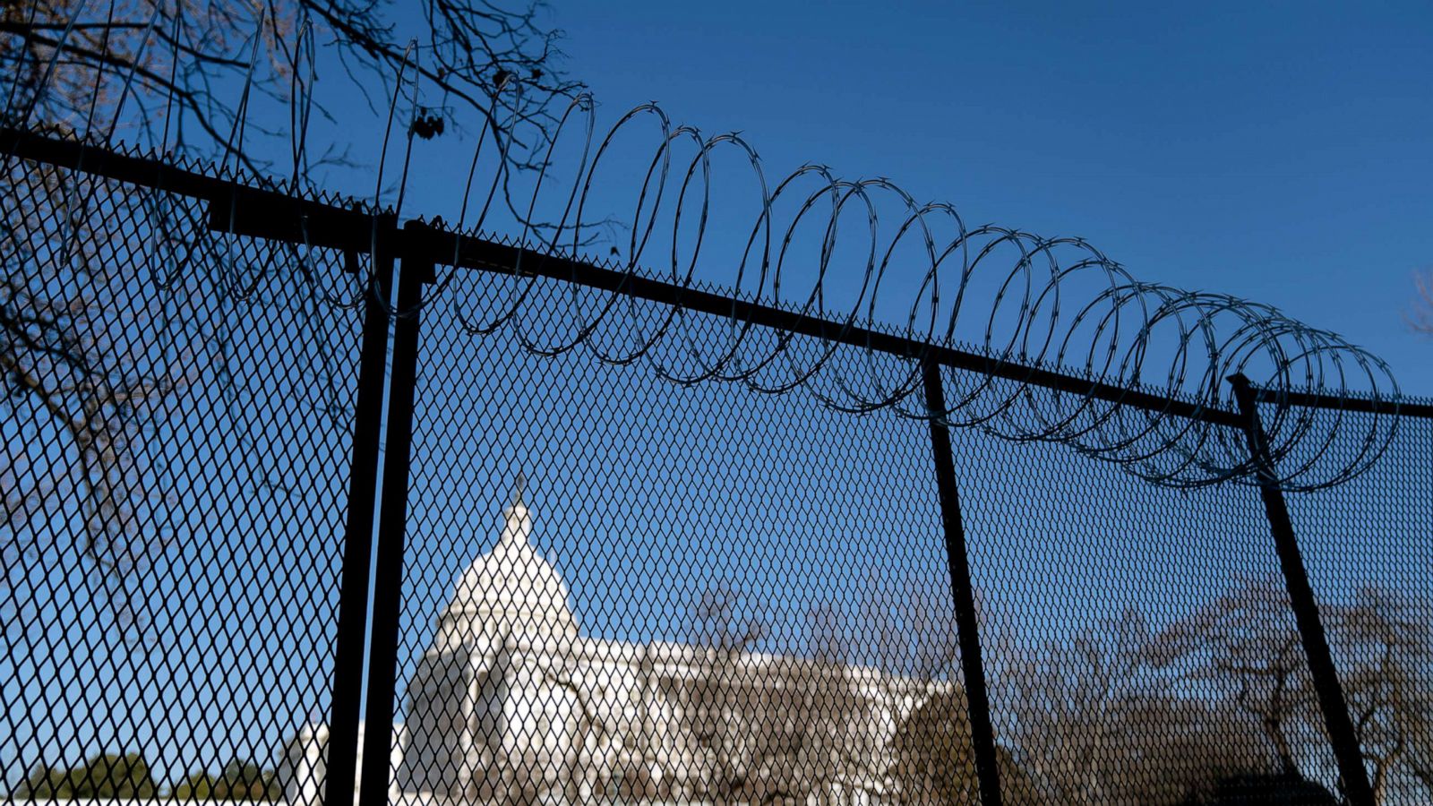 Detail Picture Of Barbed Wire Fence Nomer 33