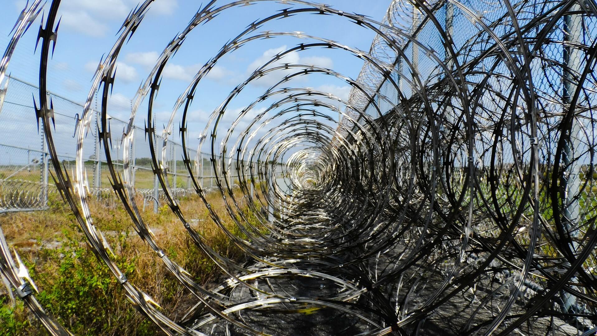 Detail Picture Of Barbed Wire Fence Nomer 36