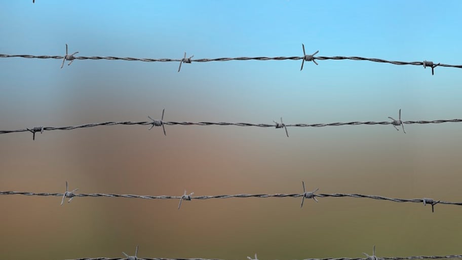 Detail Picture Of Barbed Wire Fence Nomer 5