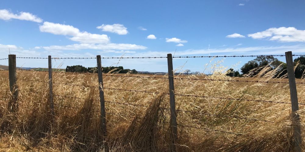 Detail Picture Of Barbed Wire Fence Nomer 40