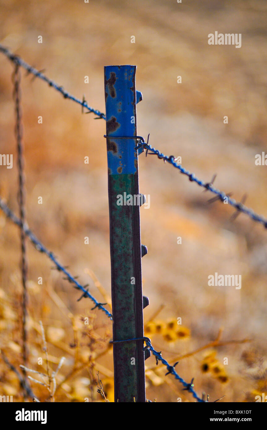 Detail Picture Of Barbed Wire Fence Nomer 45