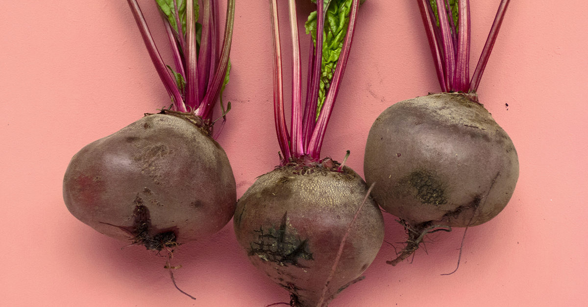 Detail Picture Of Beet Nomer 17