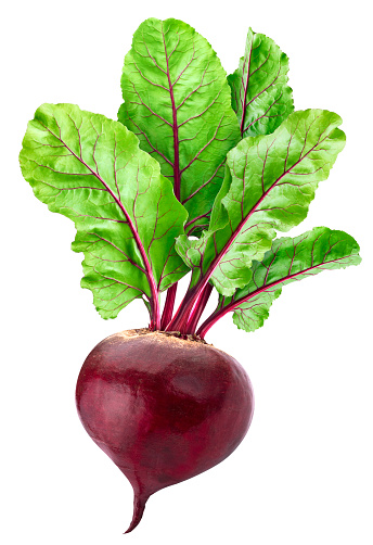 Detail Picture Of Beet Nomer 19