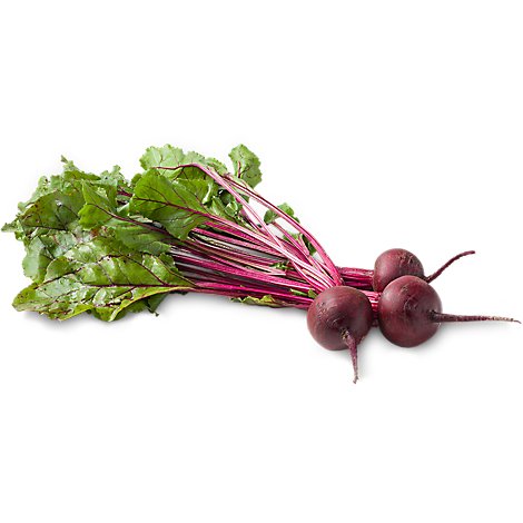 Detail Picture Of Beet Nomer 22
