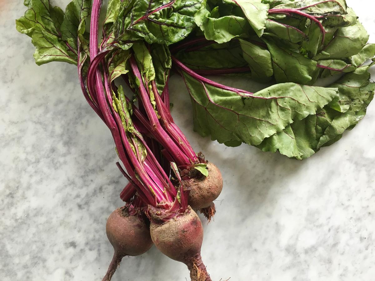 Detail Picture Of Beet Nomer 28