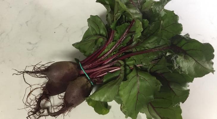 Detail Picture Of Beet Nomer 38