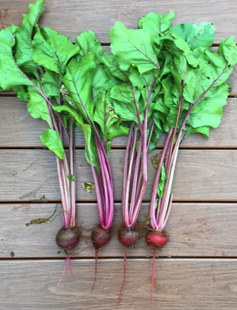 Detail Picture Of Beet Nomer 39