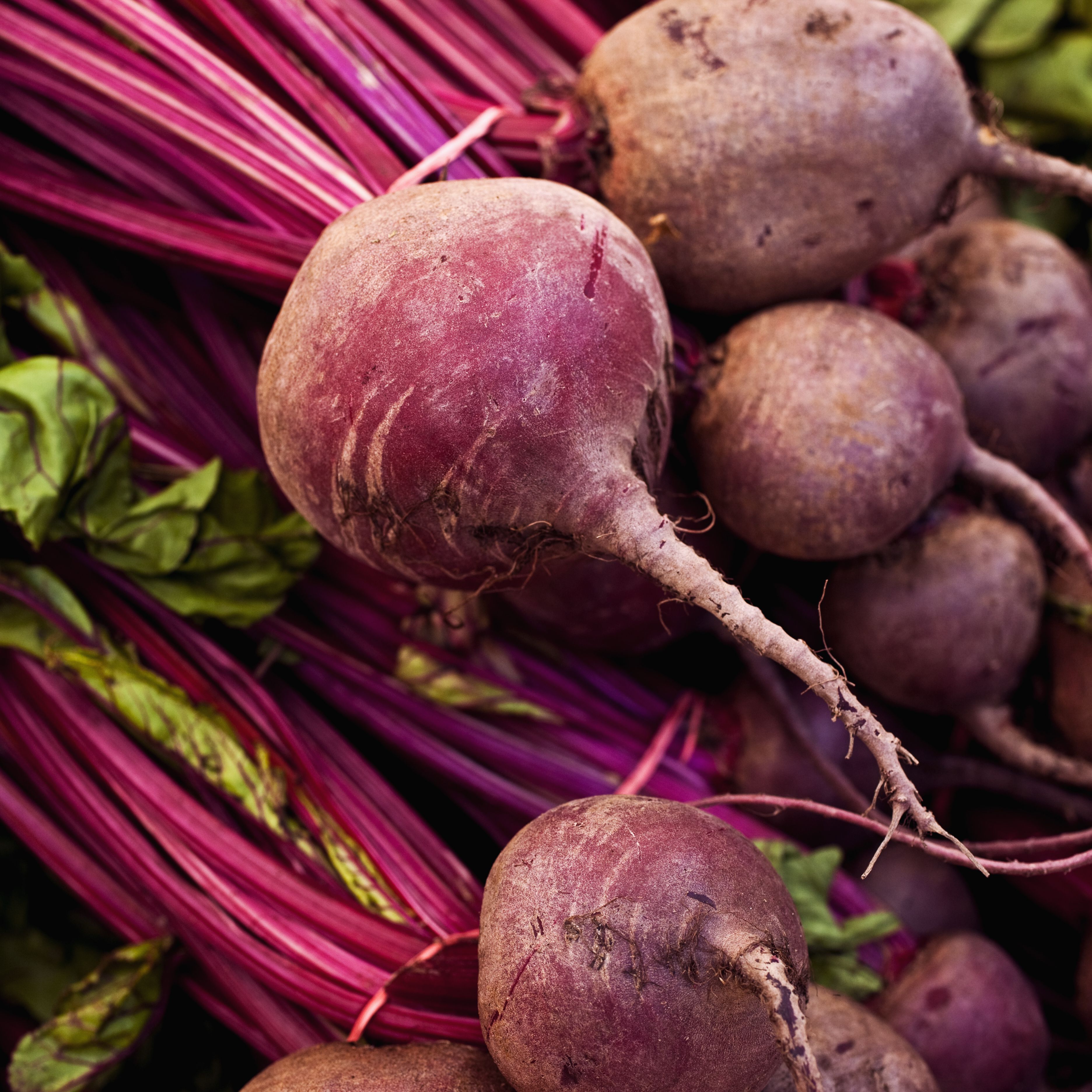 Detail Picture Of Beet Nomer 5