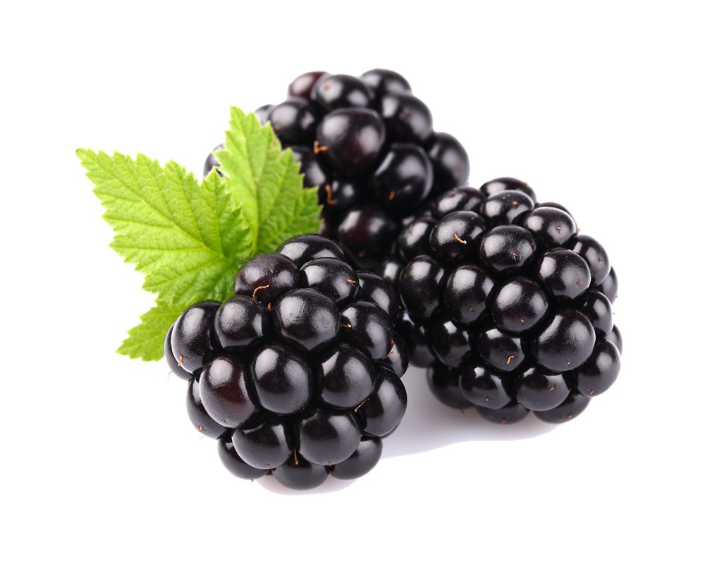 Detail Picture Of Blackberry Fruit Nomer 11