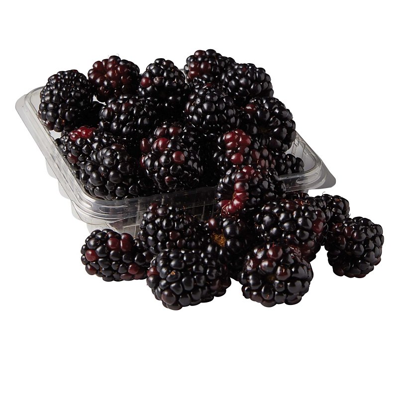 Detail Picture Of Blackberry Fruit Nomer 22