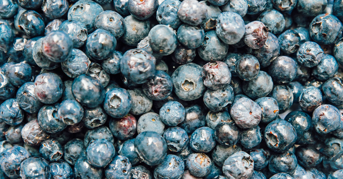 Detail Picture Of Blueberries Nomer 39