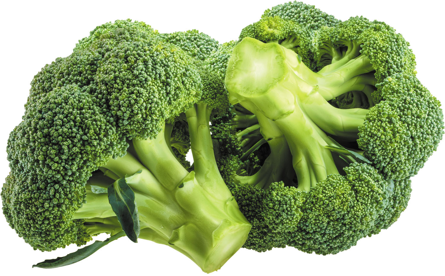 Picture Of Broccoli - KibrisPDR