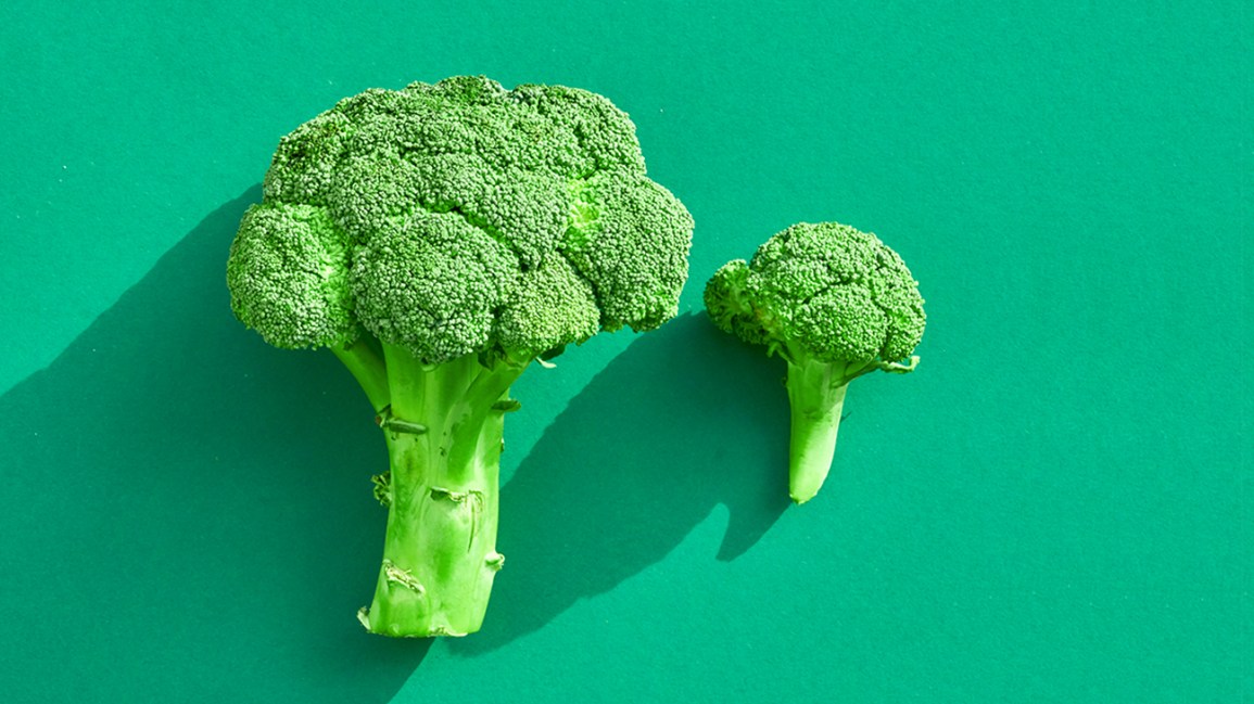 Detail Picture Of Broccoli Nomer 3
