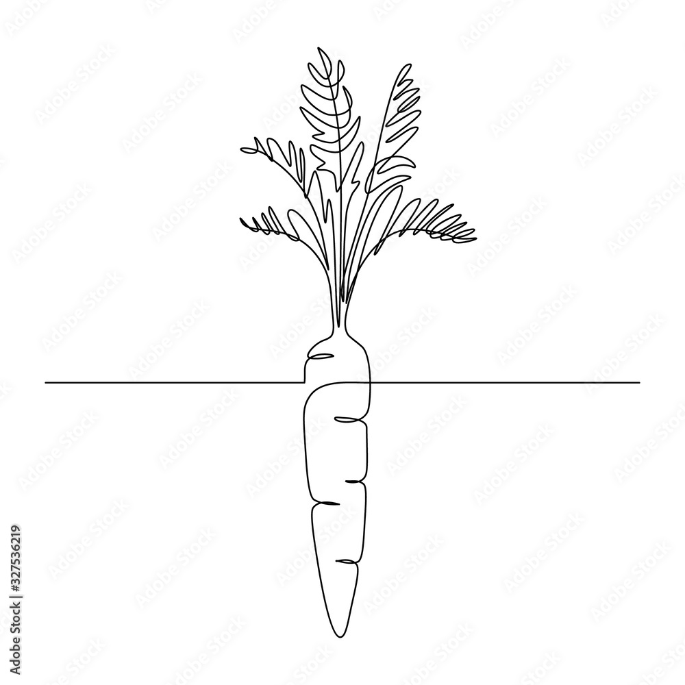 Detail Picture Of Carrot Plant Nomer 47