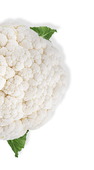 Detail Picture Of Cauliflower Nomer 41