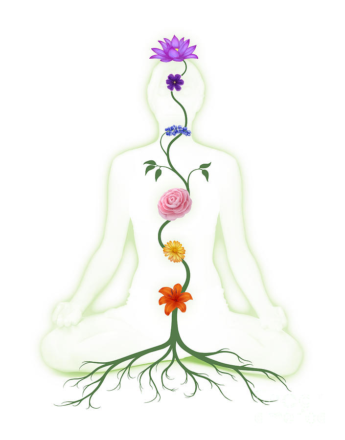 Detail Picture Of Chakras Nomer 44