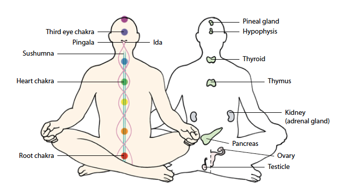 Detail Picture Of Chakras Nomer 53