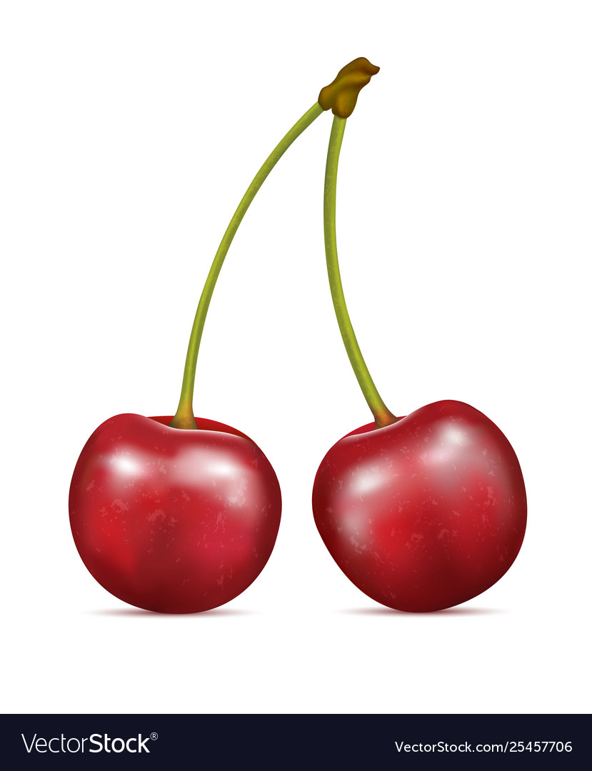Detail Picture Of Cherry Fruit Nomer 3