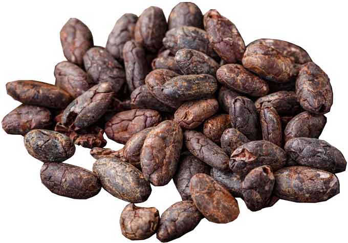 Detail Picture Of Cocoa Beans Nomer 14