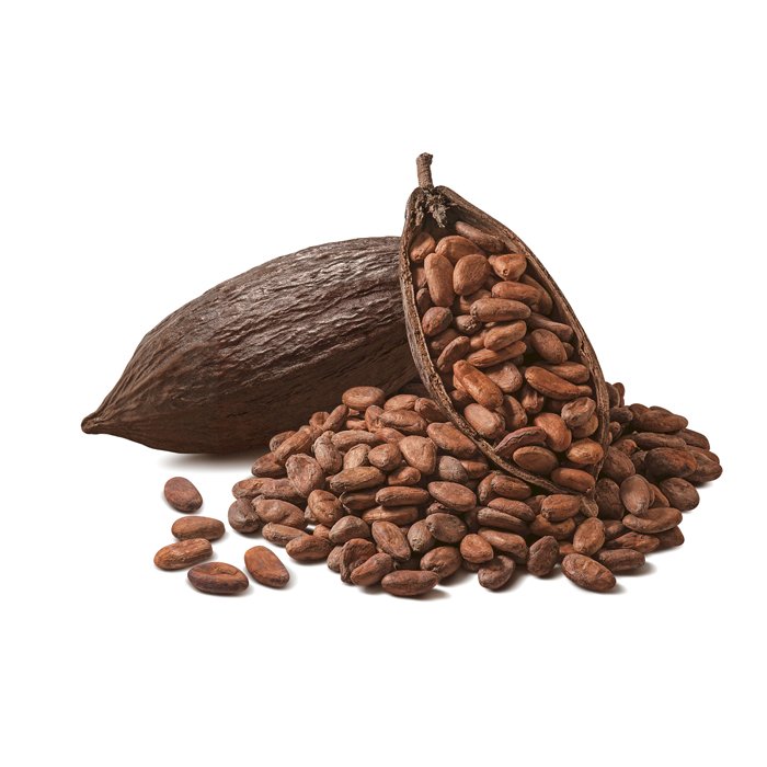 Detail Picture Of Cocoa Beans Nomer 5