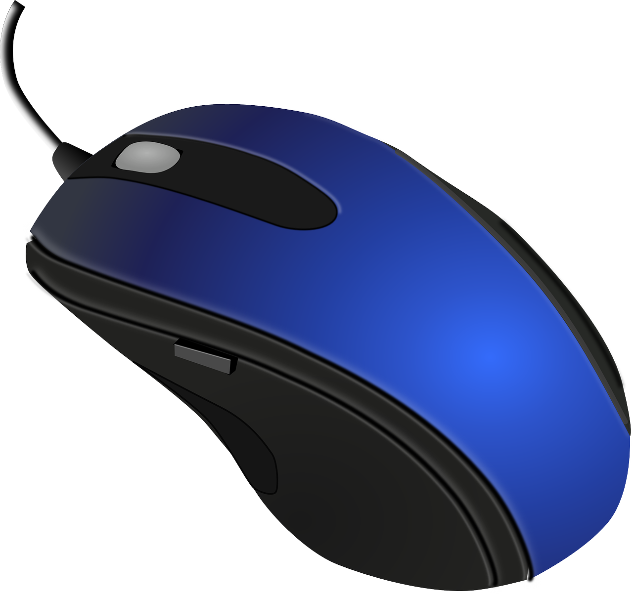 Detail Picture Of Computer Mouse Nomer 20