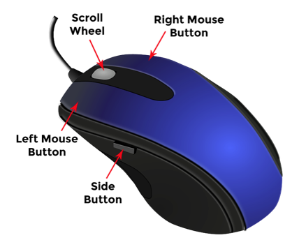 Detail Picture Of Computer Mouse Nomer 43