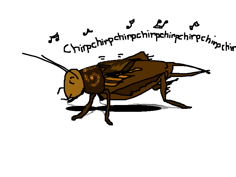 Detail Picture Of Crickets Chirping Nomer 4