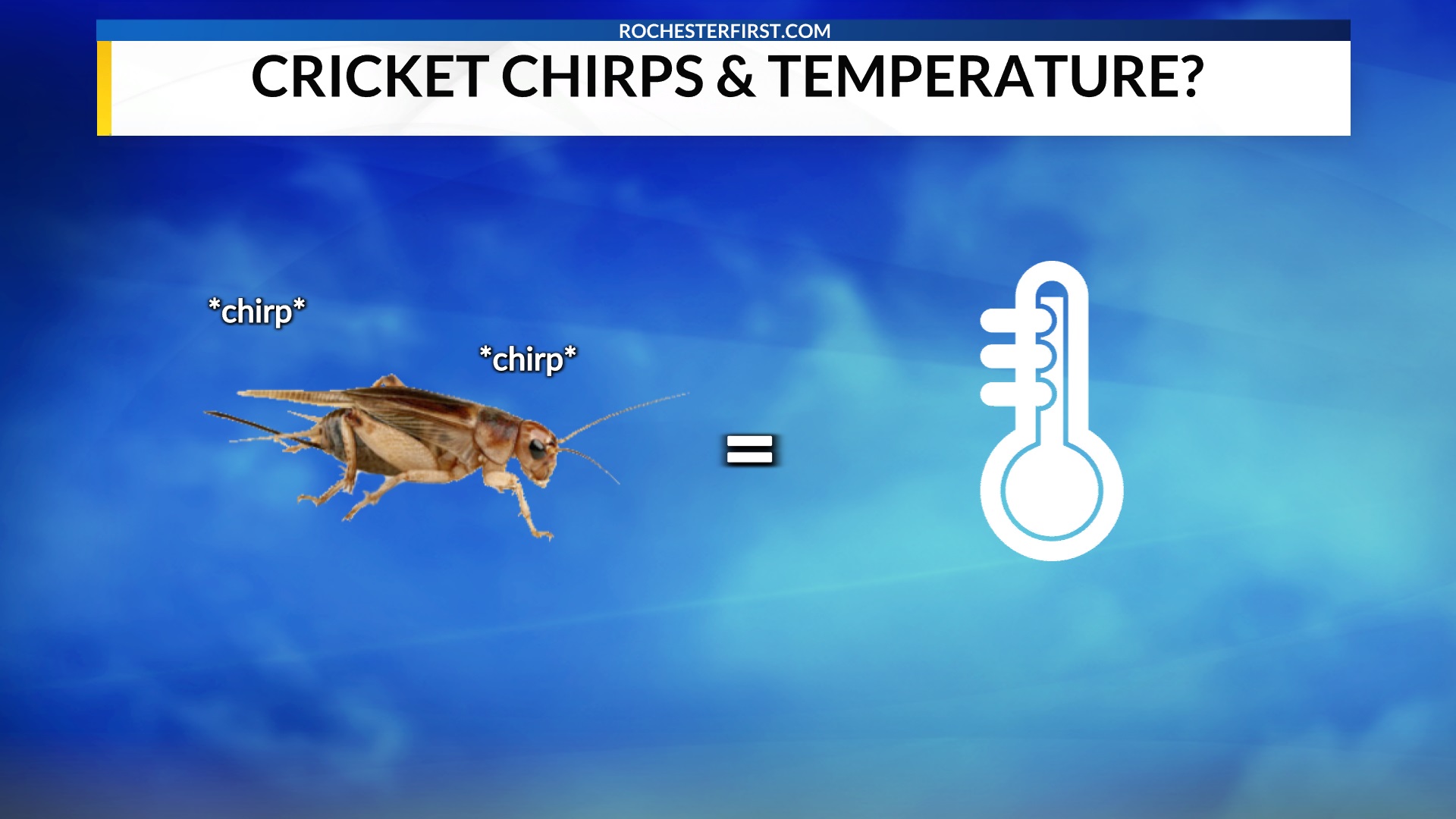 Detail Picture Of Crickets Chirping Nomer 37