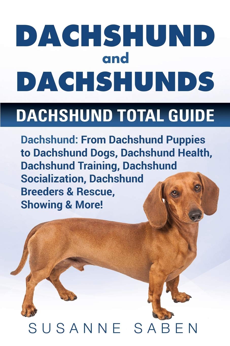 Detail Picture Of Daschunds Nomer 30