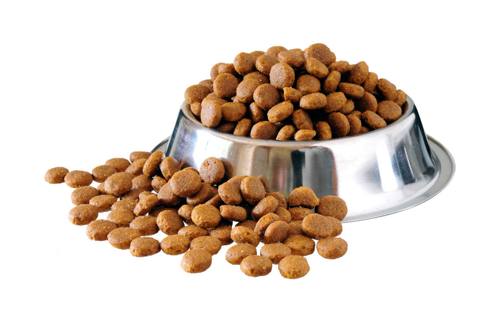 Detail Picture Of Dog Food Nomer 2