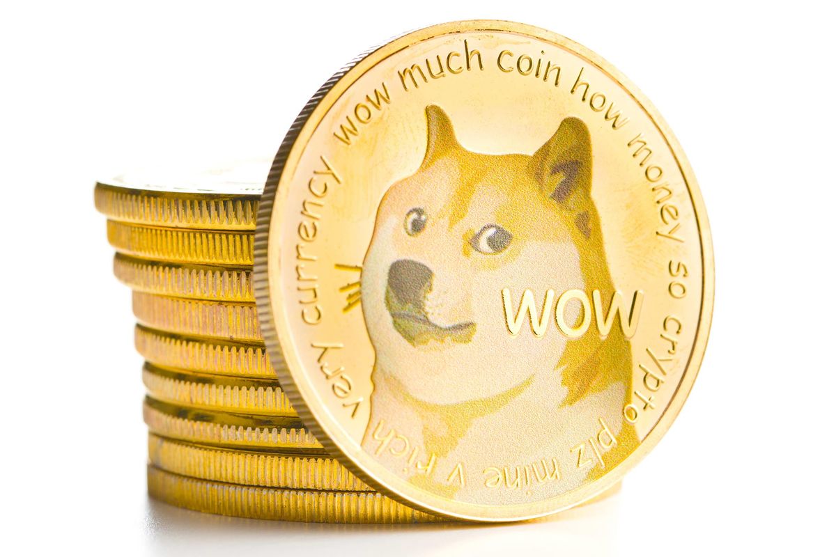 Detail Picture Of Doge Nomer 12