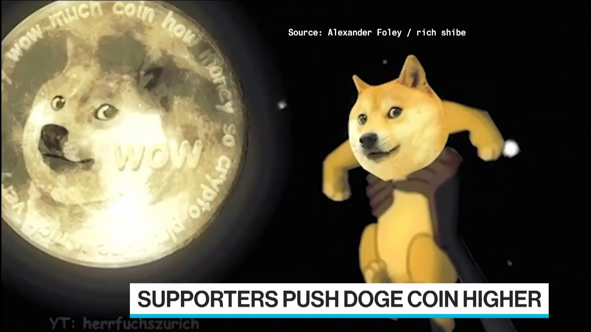 Detail Picture Of Doge Nomer 18