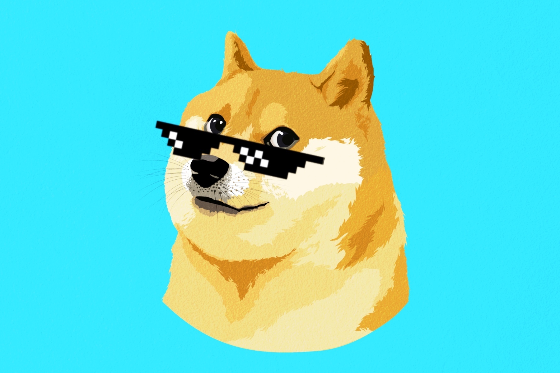 Detail Picture Of Doge Nomer 3