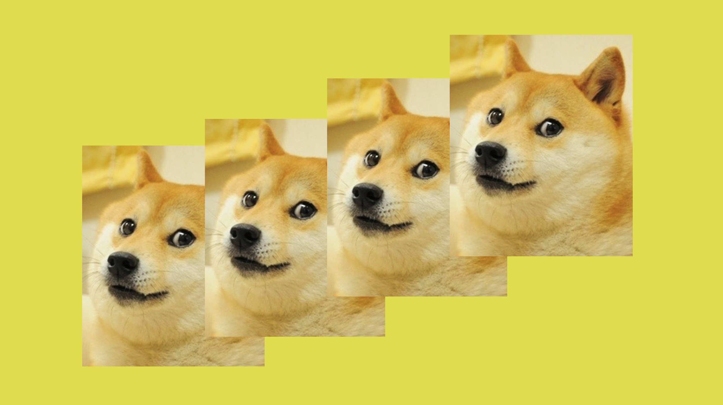 Detail Picture Of Doge Nomer 4