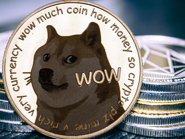Detail Picture Of Doge Nomer 33
