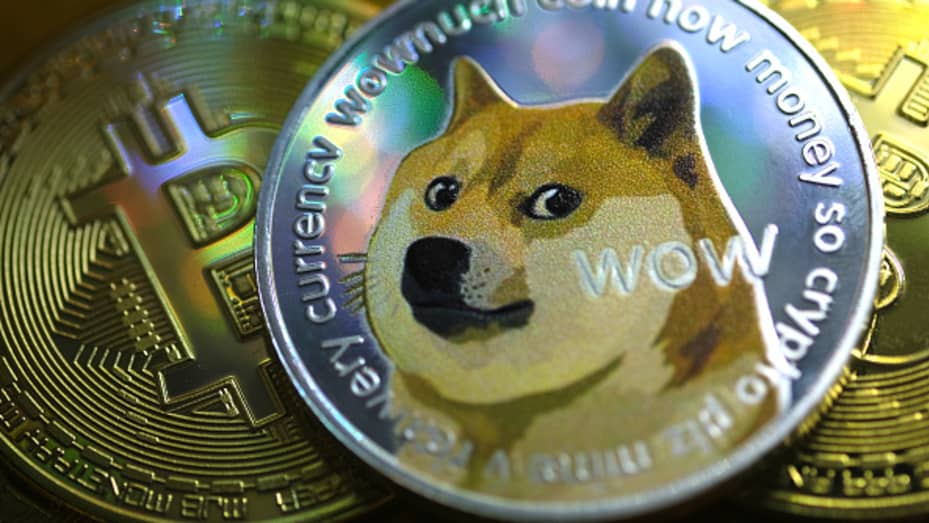 Detail Picture Of Doge Nomer 41