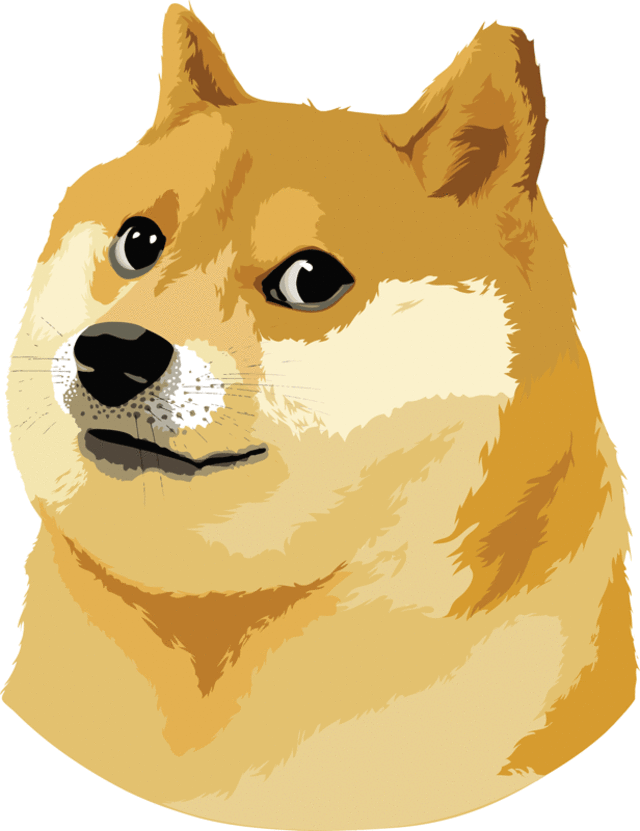 Detail Picture Of Doge Nomer 6