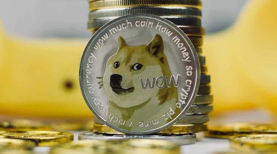 Detail Picture Of Doge Nomer 51