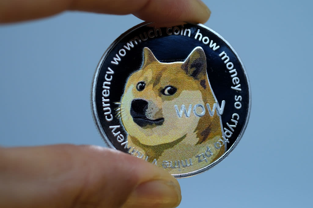 Detail Picture Of Doge Nomer 9