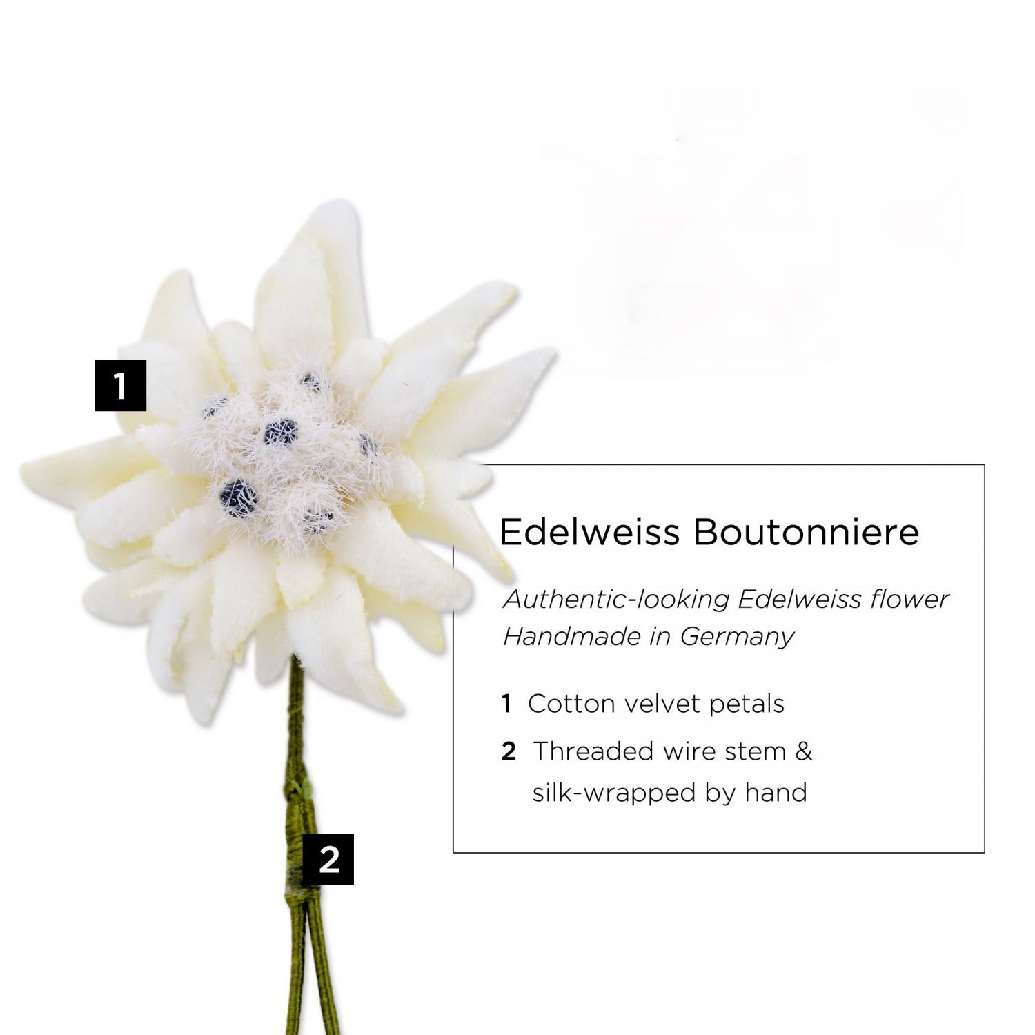 Detail Picture Of Edelweiss Flower Nomer 25