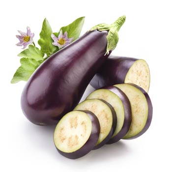 Detail Picture Of Egg Plant Nomer 10