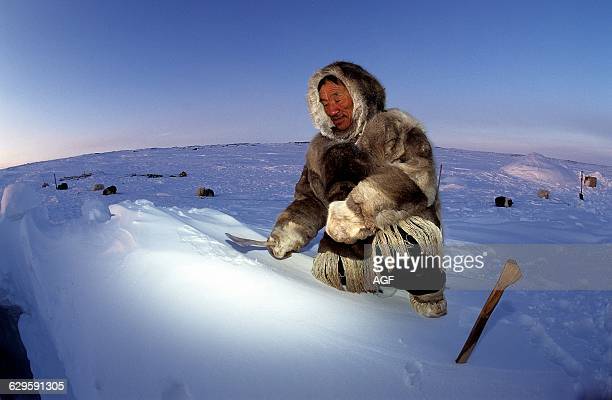 Detail Picture Of Eskimo And Igloo Nomer 29