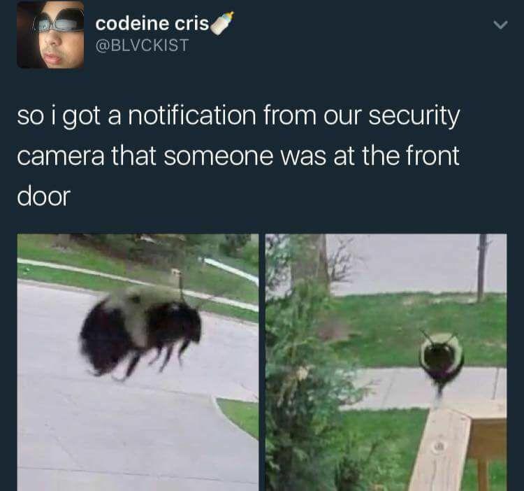 Detail Meme Security Camera Nomer 11