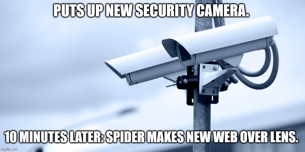 Detail Meme Security Camera Nomer 13