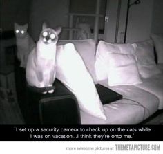 Detail Meme Security Camera Nomer 42