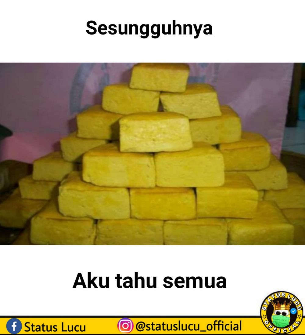 Detail Meme Tentang Tahu Nomer 6