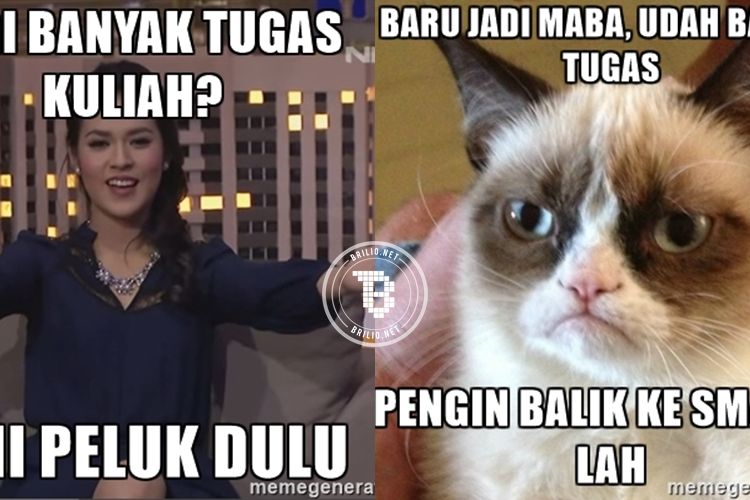 Detail Meme Tentang Tugas Nomer 30