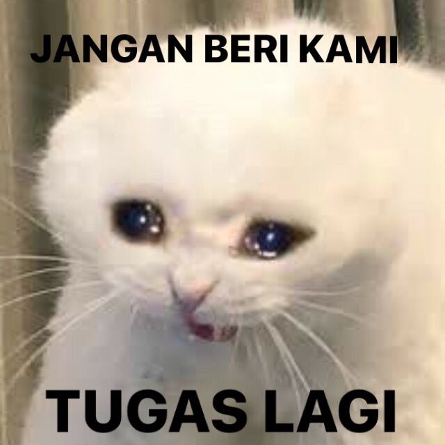 Detail Meme Tentang Tugas Nomer 6