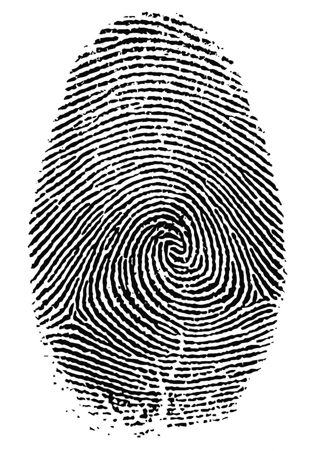 Detail Picture Of Finger Print Nomer 2