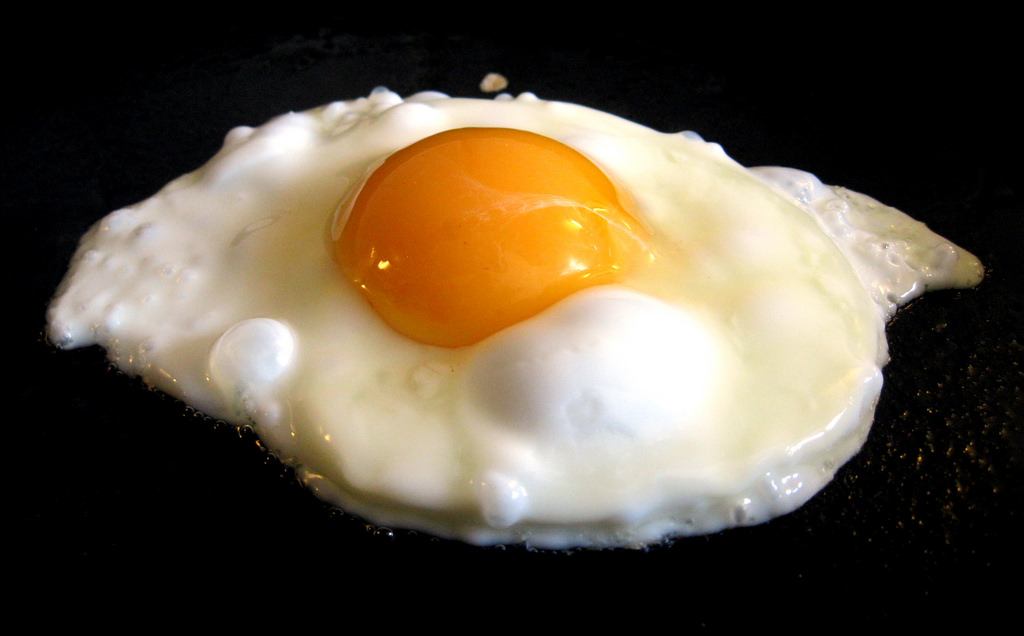 Detail Picture Of Fried Egg Nomer 38